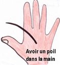 Avoir un poil dans la main