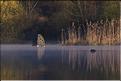 aff�t flottant &eacute;tang d'arbigny 07 04