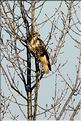 buse variable &agrave; Pont de Vaux